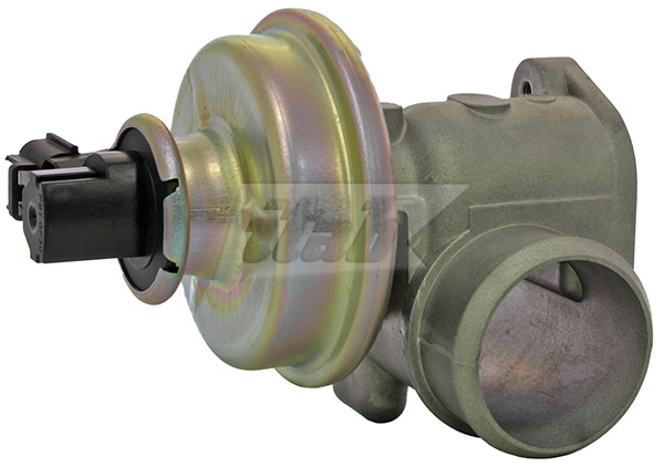 EGR Valve (73072005OV)