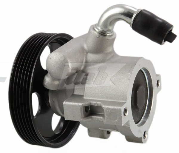 Hydraulic Pump, steering (42070107AV)