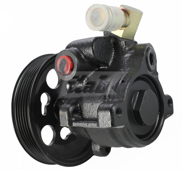 Hydraulic Pump, steering (42072139AV)