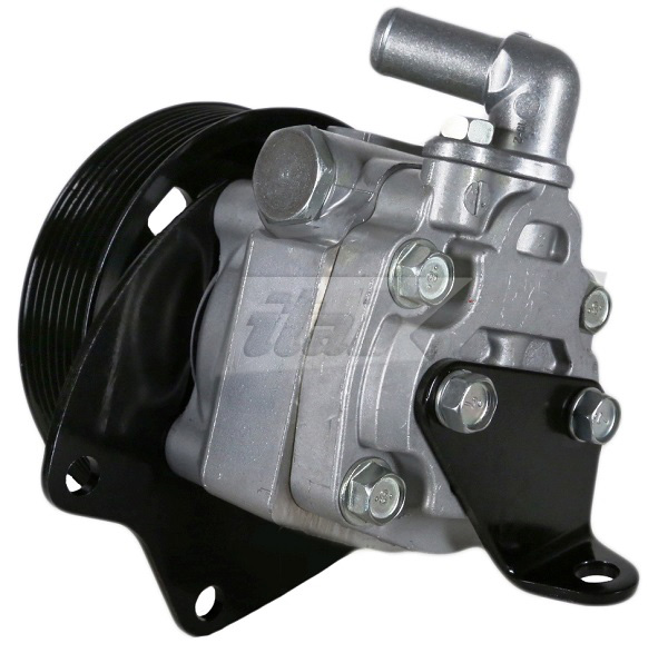 Hydraulic Pump, steering (42081106AV)