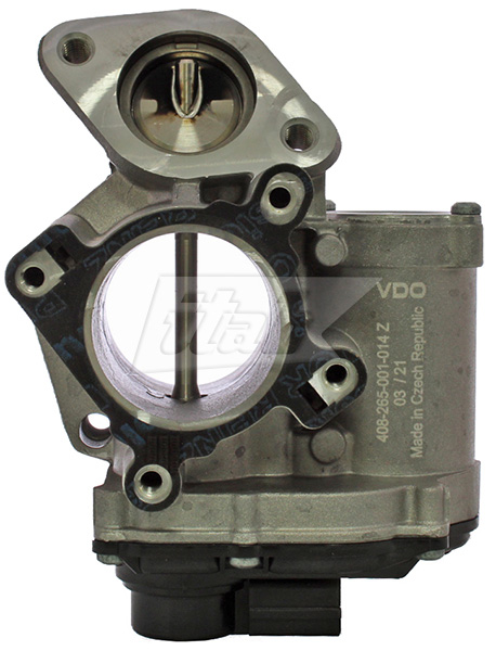 EGR Valve