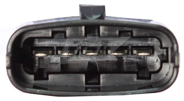 EGR Valve