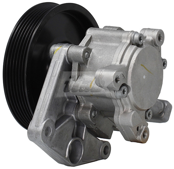 Hydraulic Pump, steering (42076131AV)