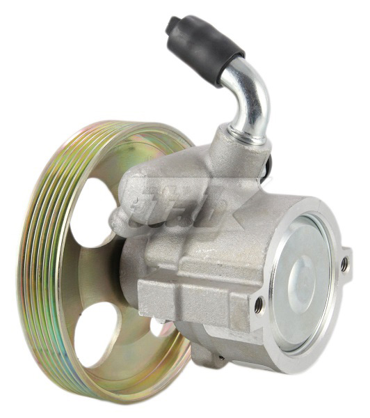 Hydraulic Pump, steering (42070105AV)