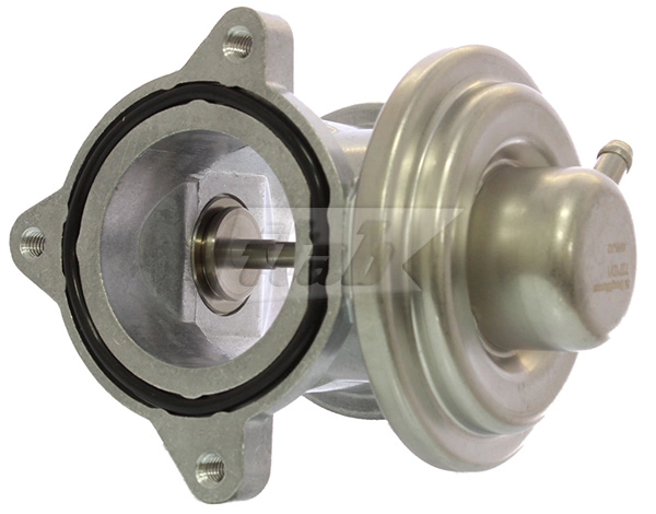 EGR Valve (73073017OV)