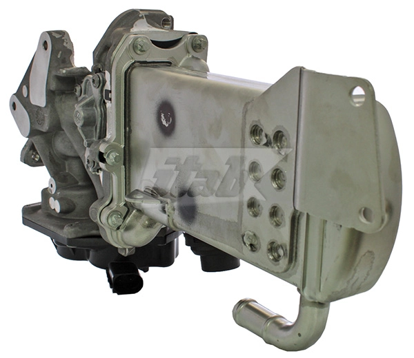 EGR Module (70073004OV)