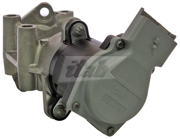 EGR Valve (73070000OV)