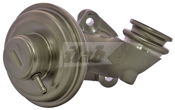 EGR Valve (73070011OV)