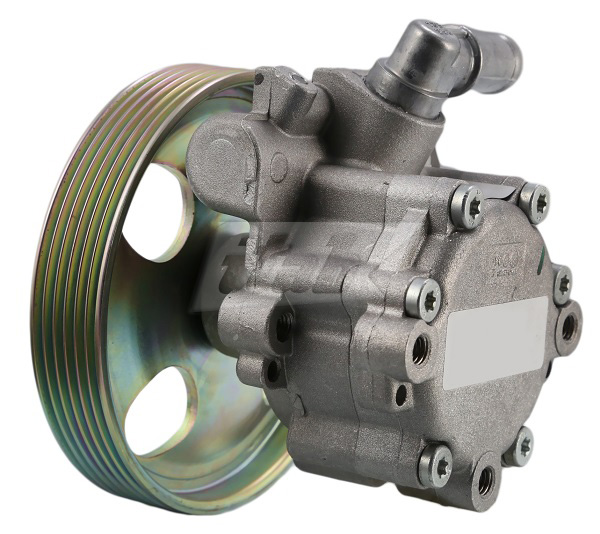 Hydraulic Pump, steering (42070100AV)