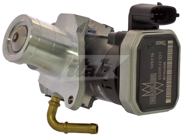 EGR Valve