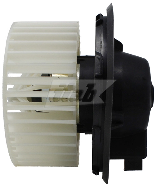 Interior Blower