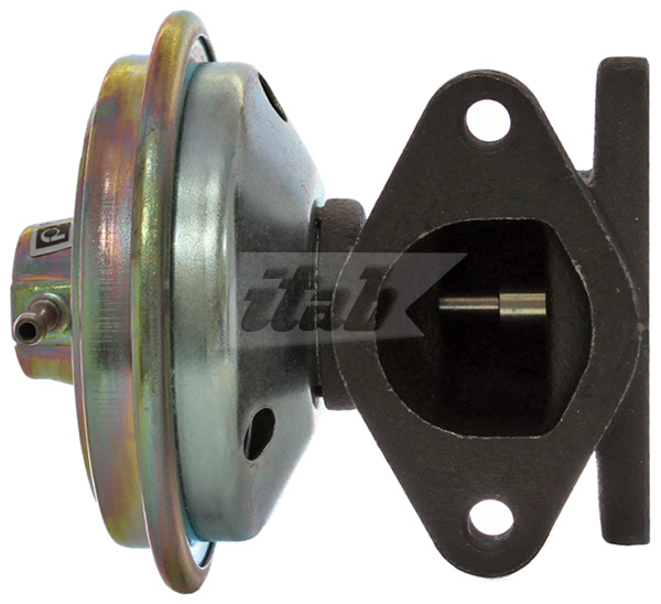 EGR Valve