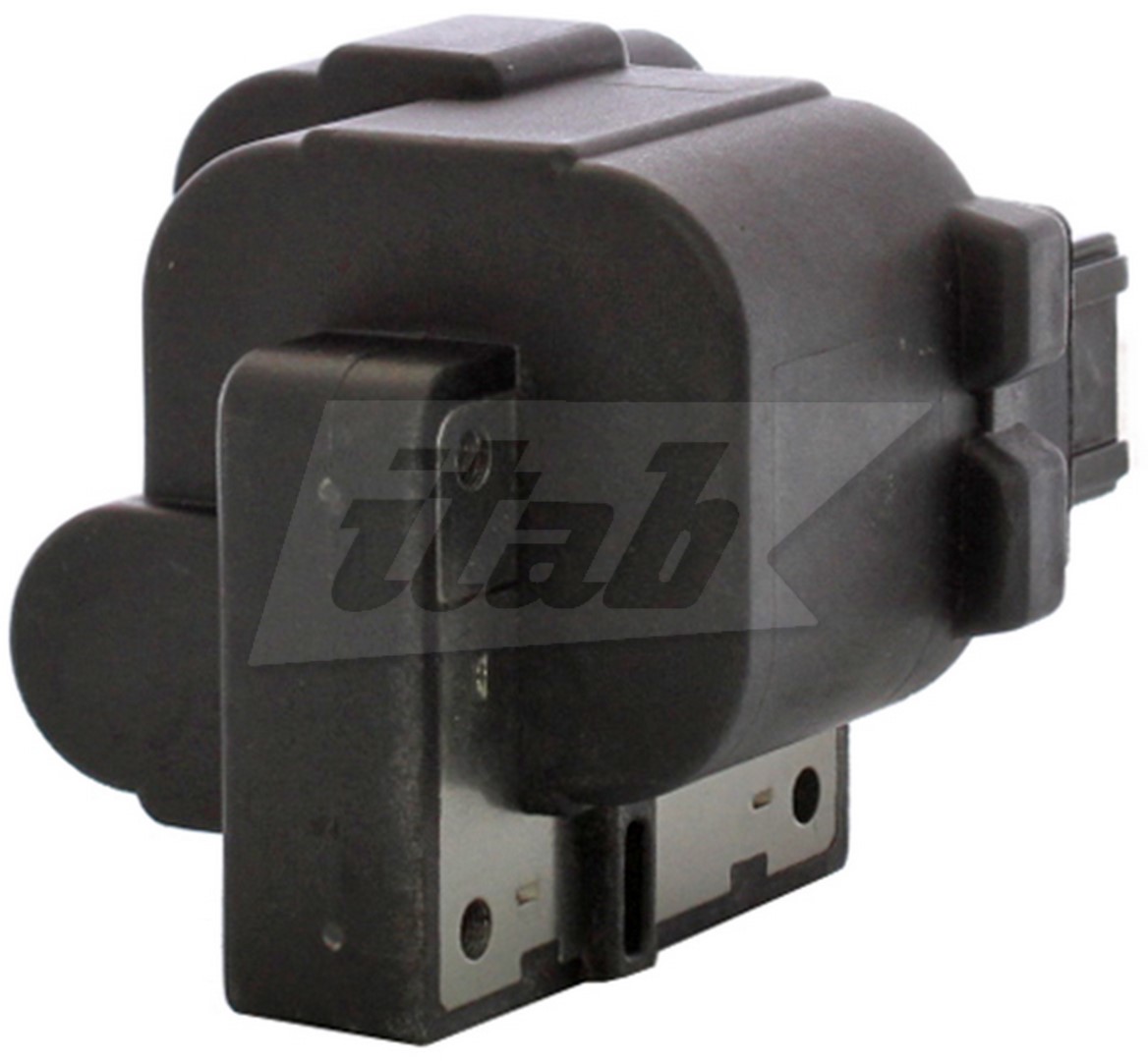 Ignition Coil (80071009AV)