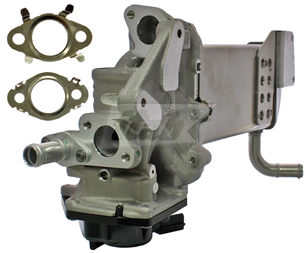 EGR Module