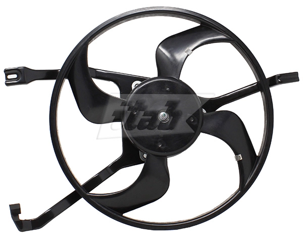 Electric Motor, radiator fan (52070005AV)