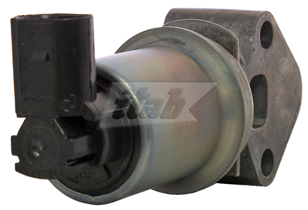EGR Valve (73073020OV)