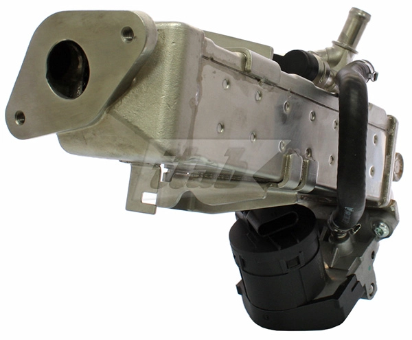 EGR Module