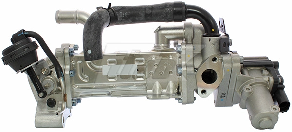 EGR Module