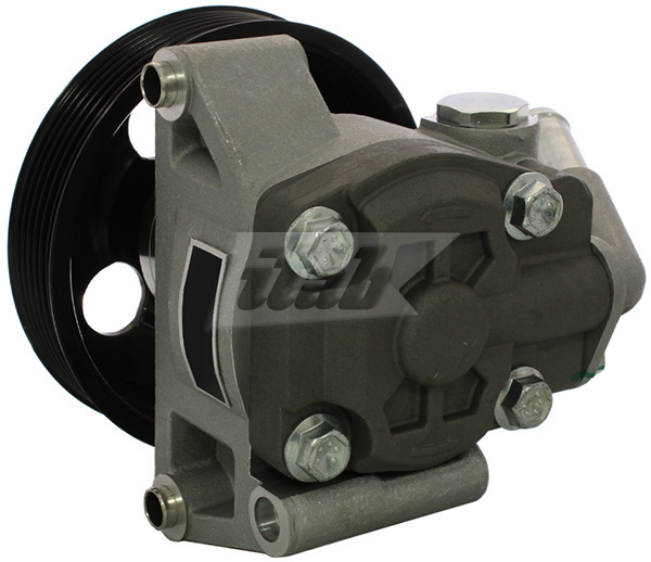 Hydraulic Pump, steering (42072117AV)