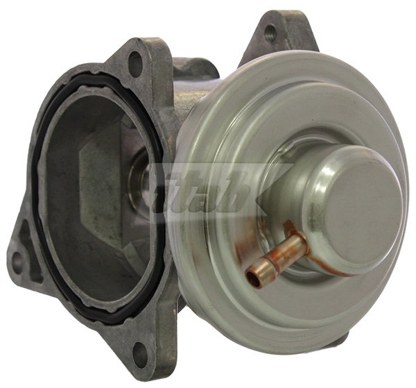EGR Valve (73073013AV)