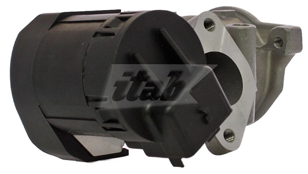 EGR Valve (73074003AV)