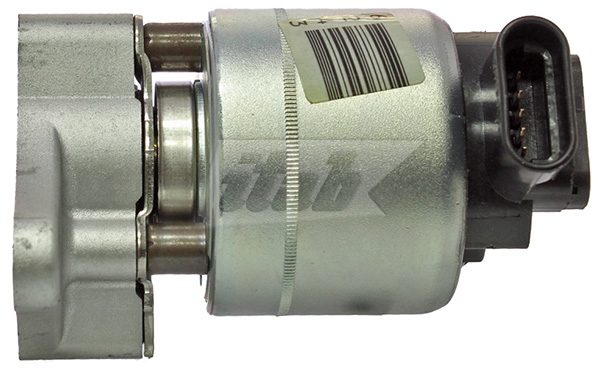 EGR Valve