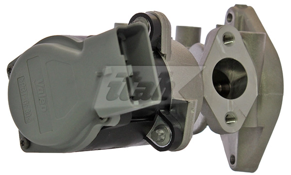 EGR Valve (73081000OV)