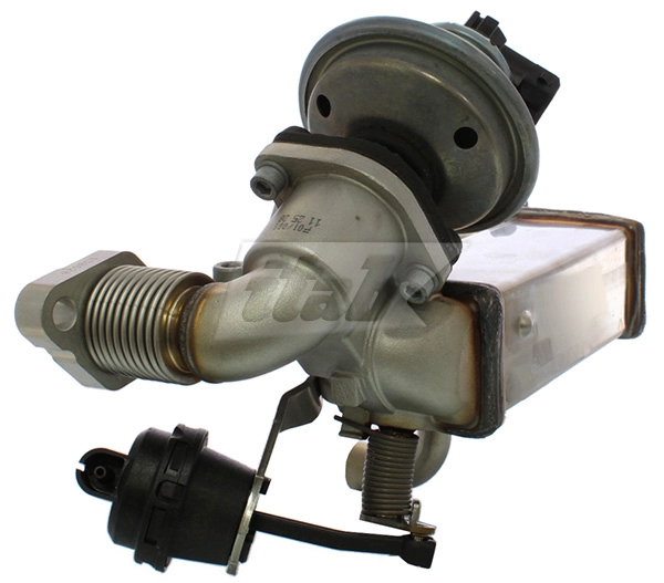 EGR Module (70075007OV)