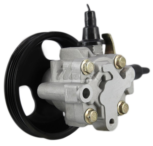 Hydraulic Pump, steering (42085100AV)