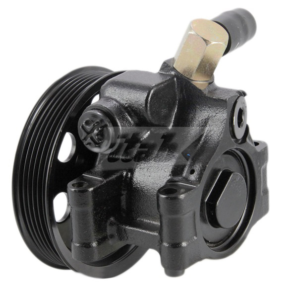 Hydraulic Pump, steering (42072136AV)