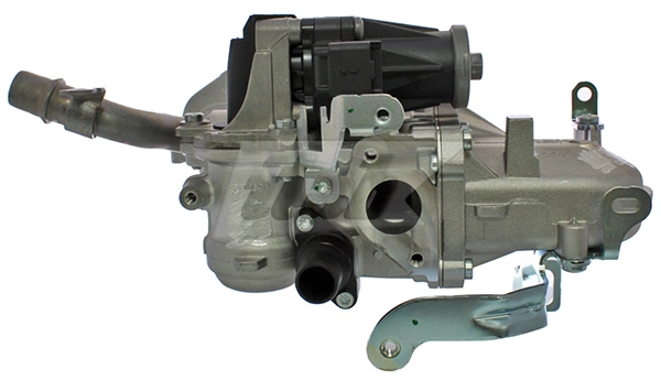 EGR Module