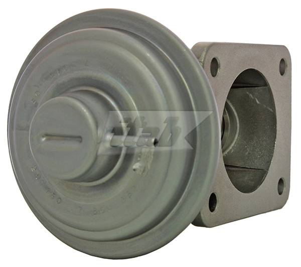 EGR Valve (73075005OV)