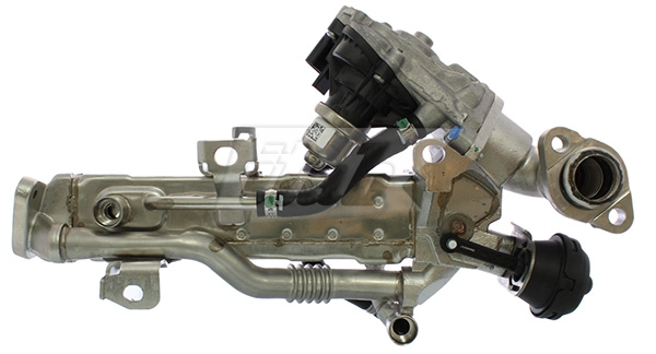 EGR Module