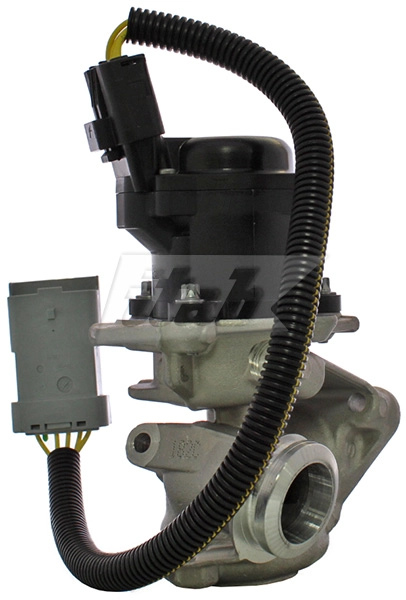 EGR Valve (73072001AV)