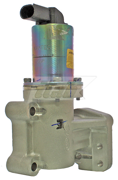 EGR Valve (73078013OV)