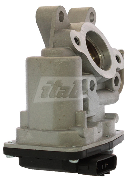 EGR Valve (73071004AV)