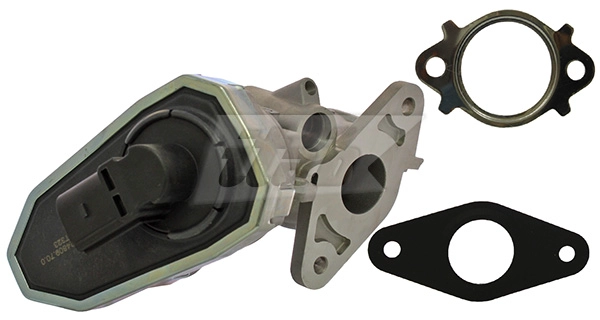 EGR Valve (73074019OV)