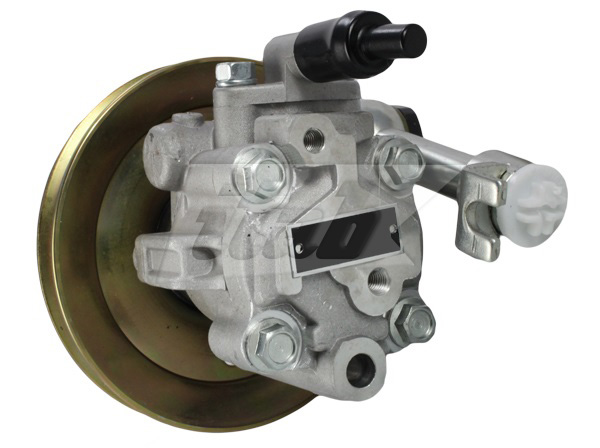 Hydraulic Pump, steering (42071107AV)