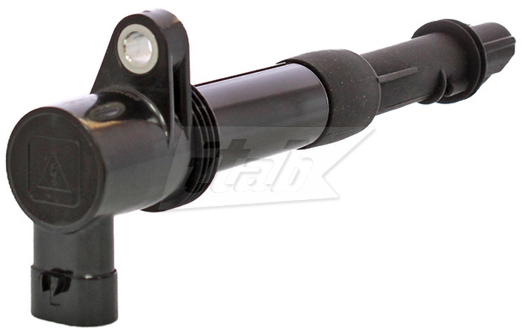 Ignition Coil (80074011AV)