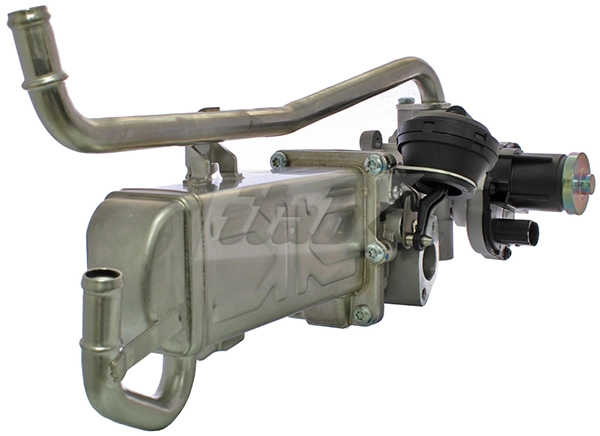 EGR Module