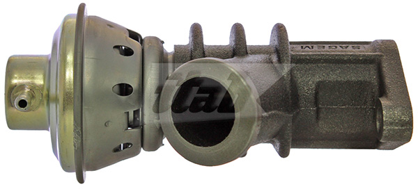 EGR Valve