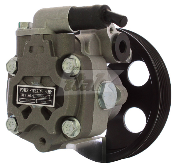 Hydraulic Pump, steering (42073147AV)