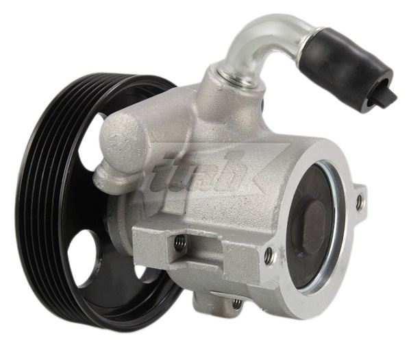 Hydraulic Pump, steering (42070134AV)