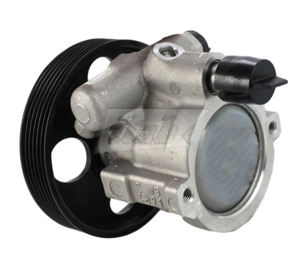 Hydraulic Pump, steering (42071141AV)