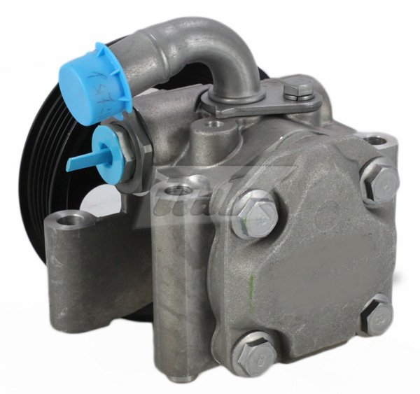 Hydraulic Pump, steering (42072111AV)