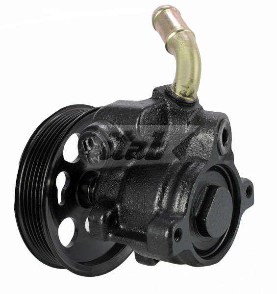 Hydraulic Pump, steering (42072138AV)