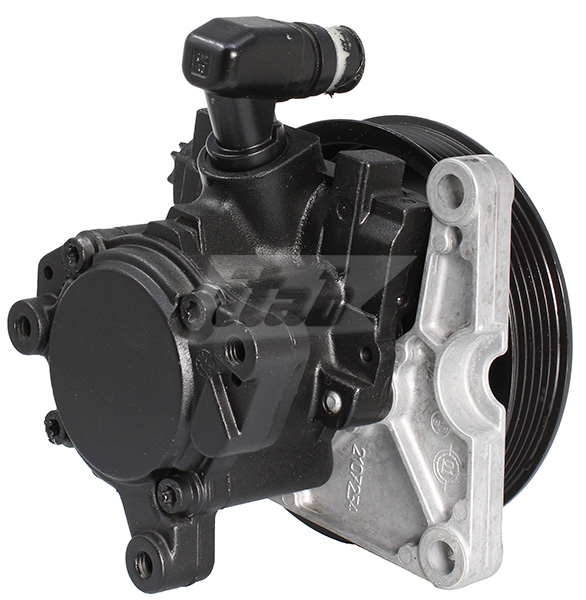 Hydraulic Pump, steering (42076123AV)