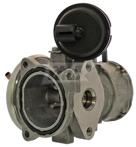 EGR Valve