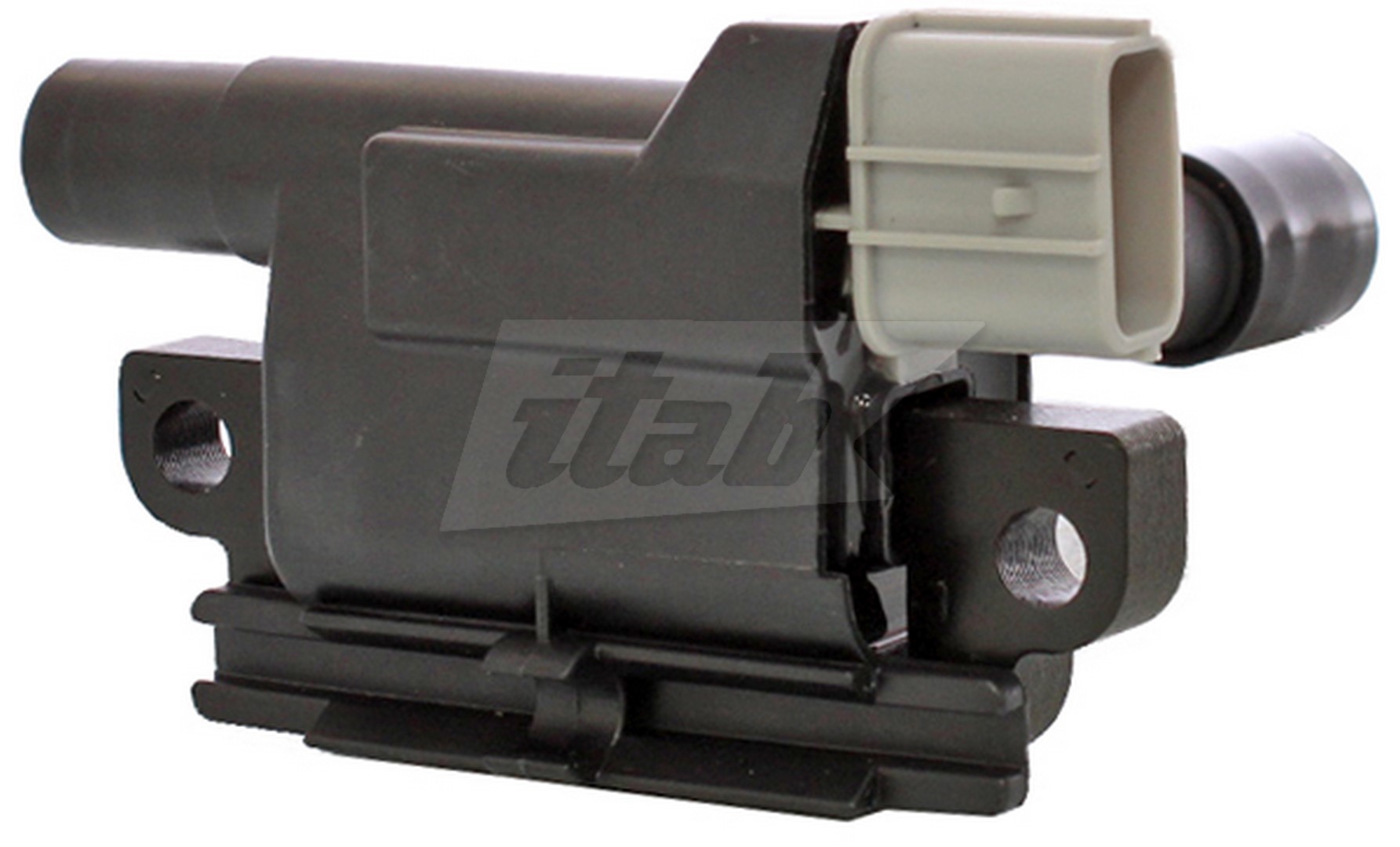 Ignition Coil (80089000AV)
