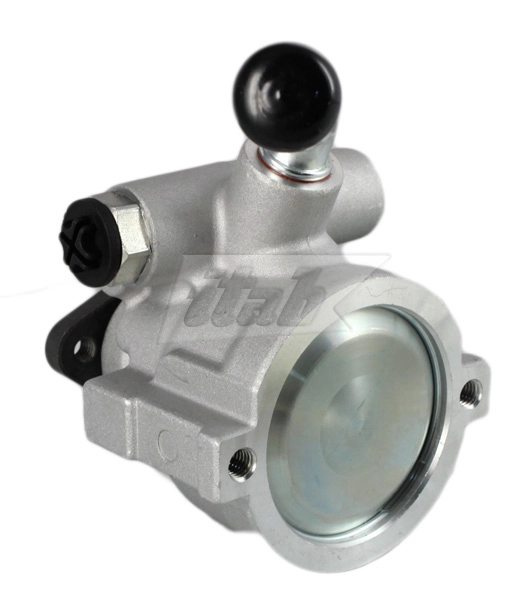 Hydraulic Pump, steering (42082100AV)